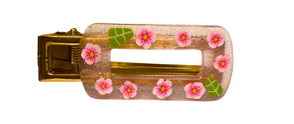 Resin Hair Clips